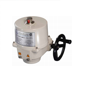 Bộ điện điều khiển van P5-12/24V AC/DC Promation